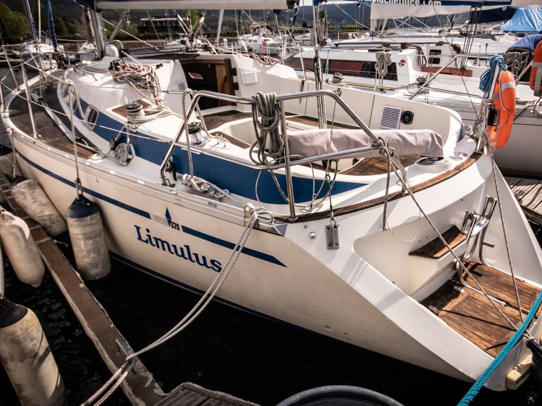 Limulus